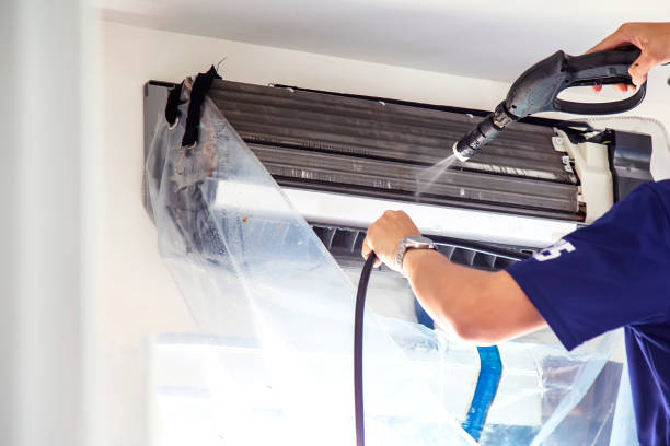 Best Air Duct Cleaning Company Near Me  in Muleshoe, TX