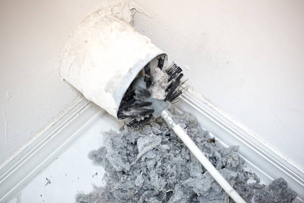 Best Dryer Vent Cleaning Services  in Muleshoe, TX